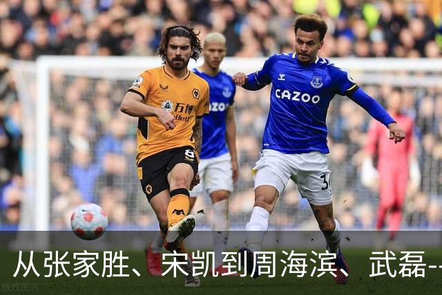 从张家胜、宋凯到周海滨、武磊--中国足球人的2024