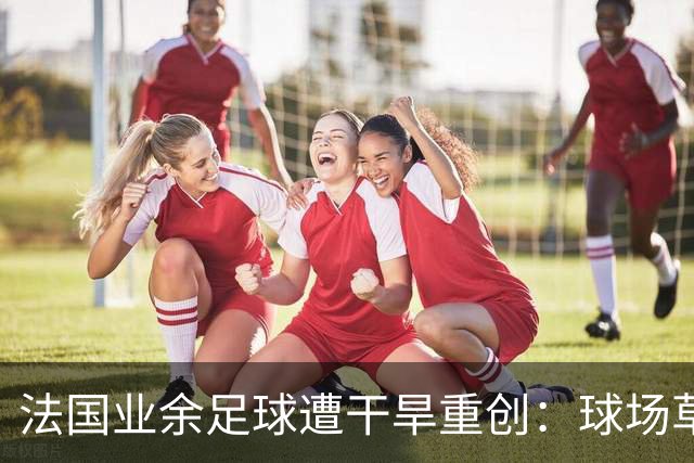 法国业余足球遭干旱重创：球场草坪枯黄干裂，新赛季举步维艰