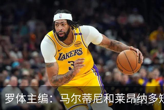 罗体主编：马尔蒂尼和莱昂纳多短短几天就犯下一系列惊人错误